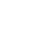 logo img