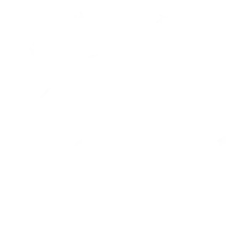 스타터캠프